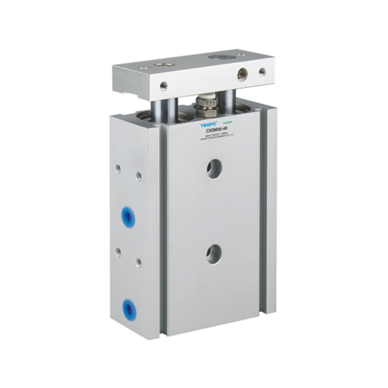 CXS Double Rod Basic Type Air Cylinder