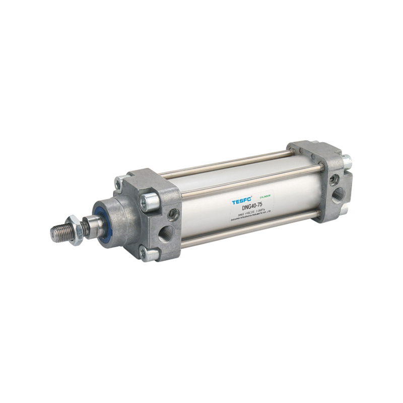 DNG High Temperature Resistant Standard Type Air Cylinder