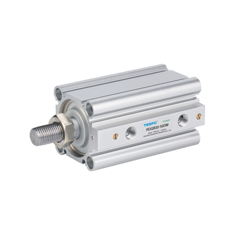 RQ Small Compact Air Cylinder With Magnetic