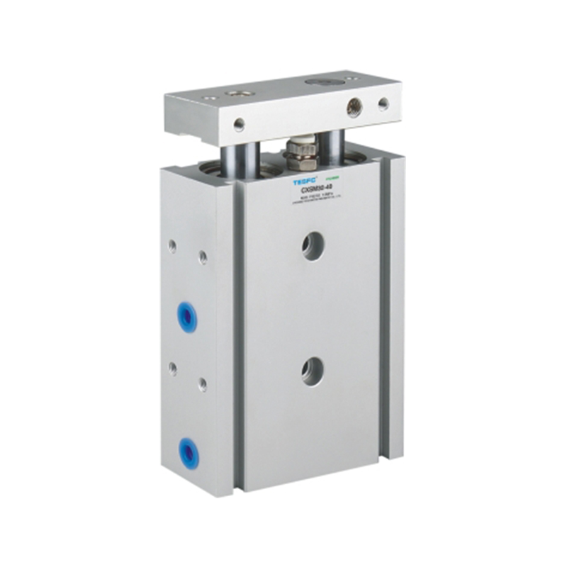 TN/TR Double Action Double Shaft Air Cylinder