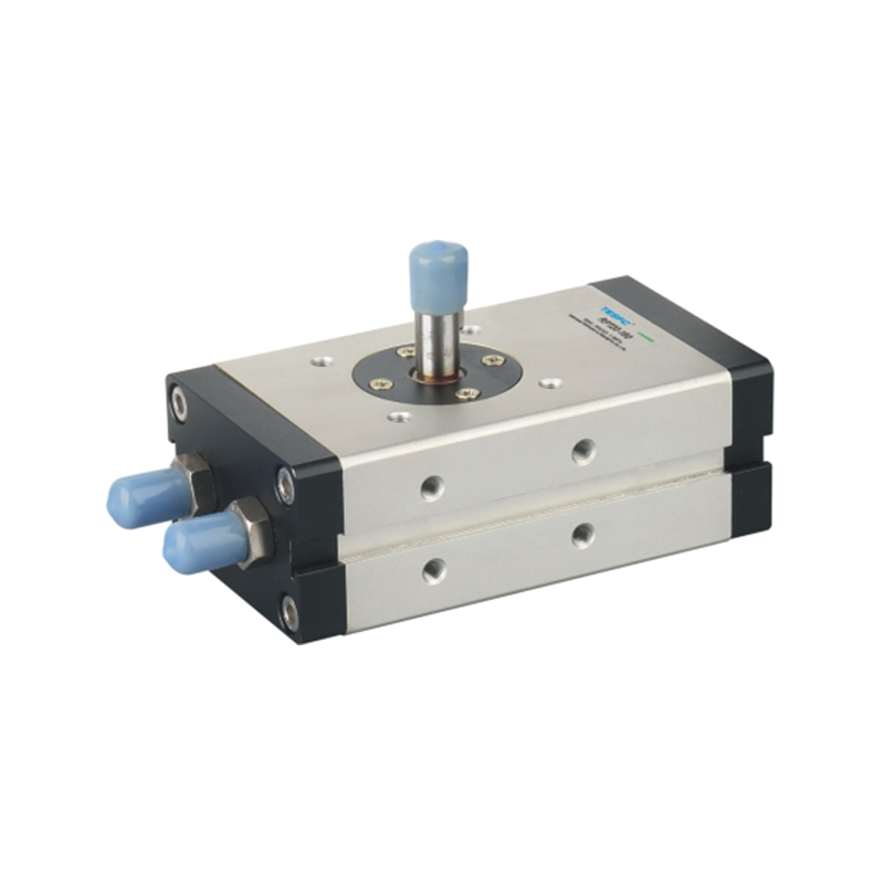 RTP Swing Rotate Air Cylinder