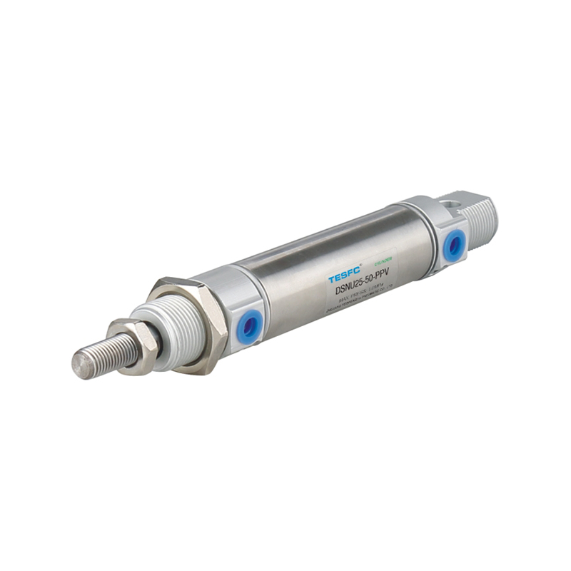 DSNU Quick Response Mini Stainless Steel Air Cylinder