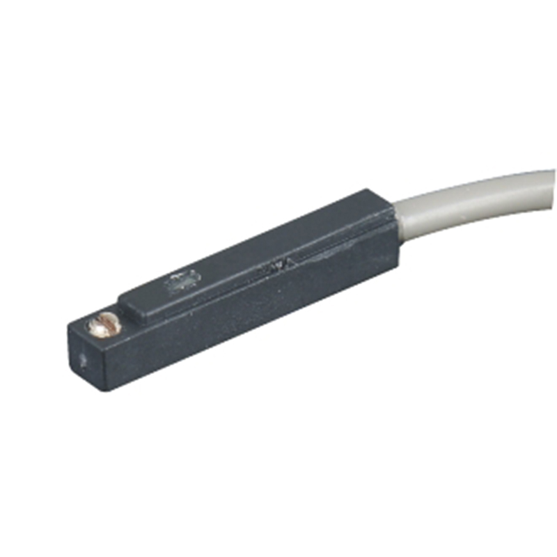 DS1 Electronic Magnetic Switch