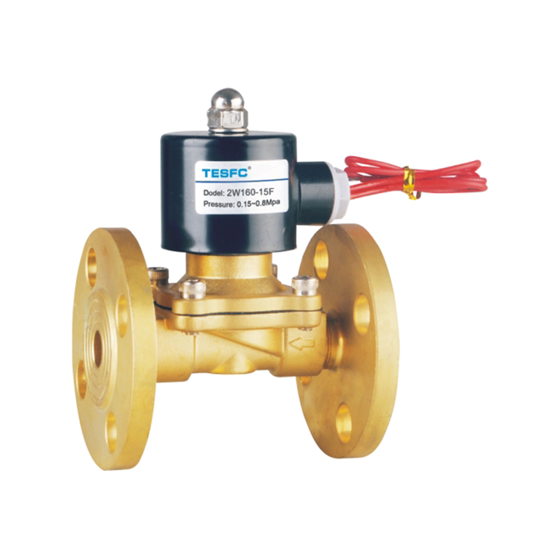 2WBF Two Barrels Of Brass Solenoid Valve