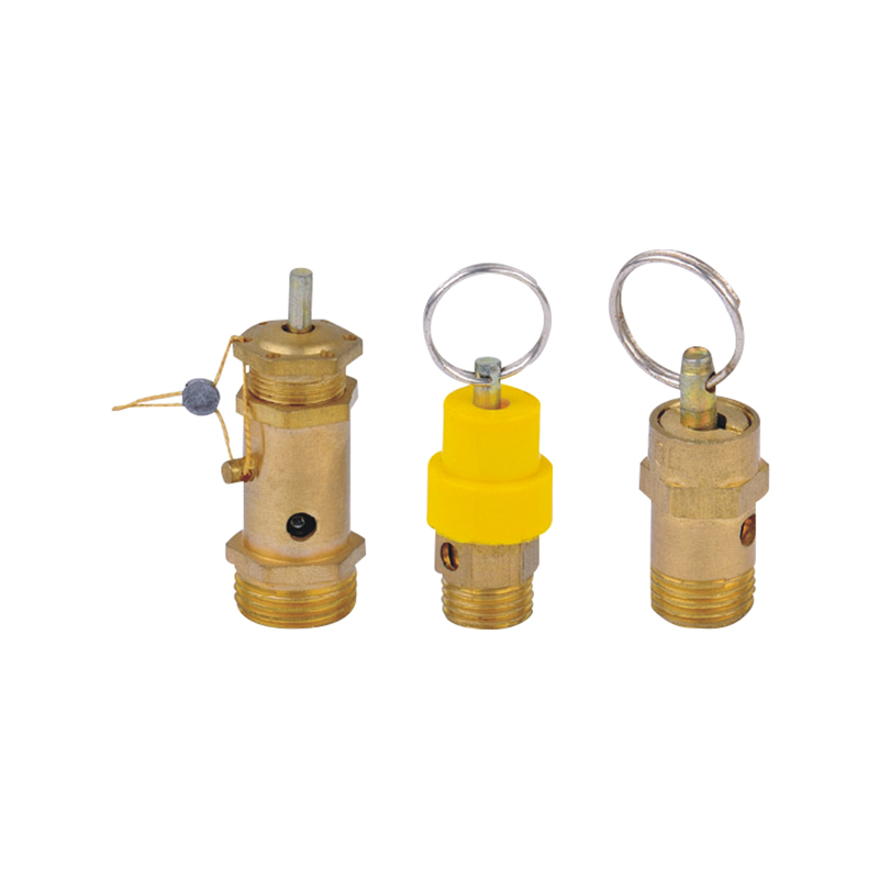 BV Spring-Loaded Safety Relief Valve