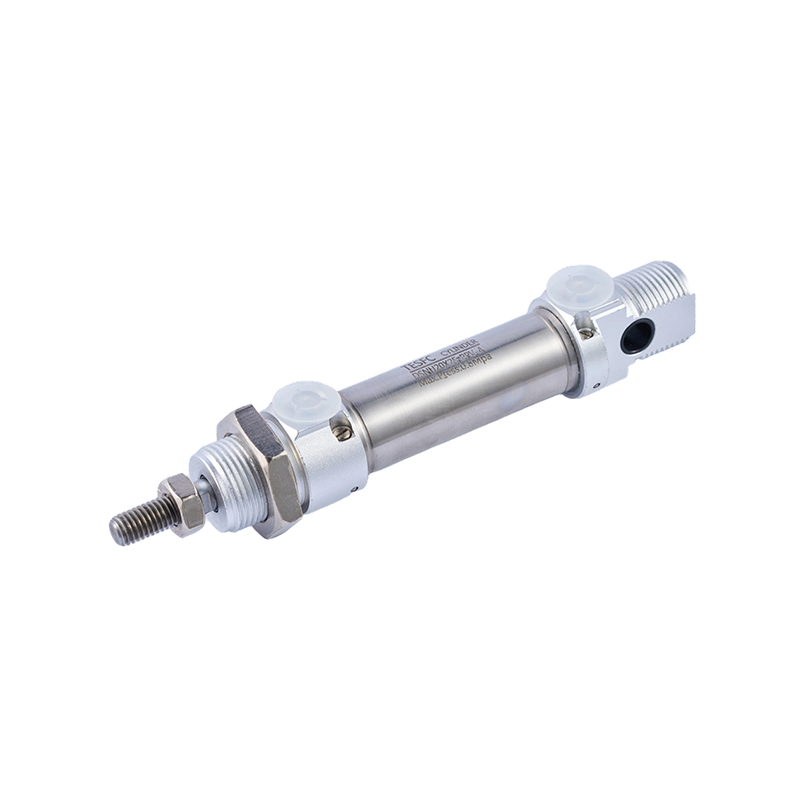 DSNU-PPV Small Air Cylinder With Buffer At Both Ends